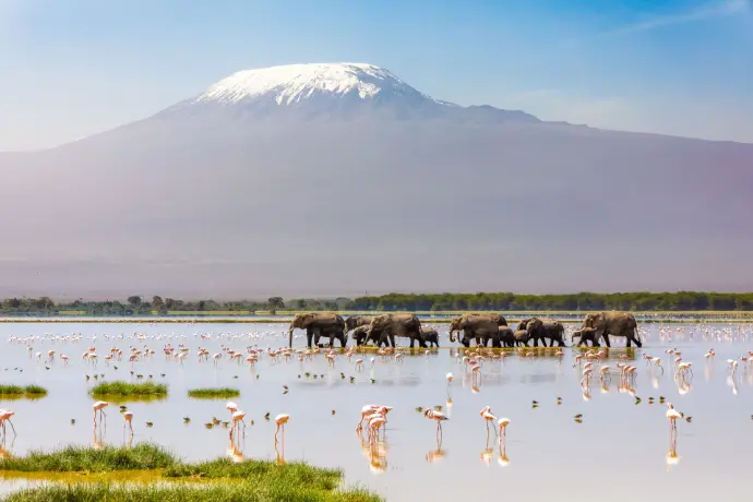 2½ Days “Kilimanjaro Safari” Itinerary