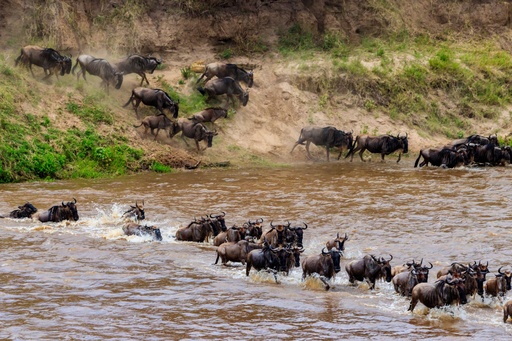 3-Day Masai Mara Safari Itinerary (Mara Safari Club)