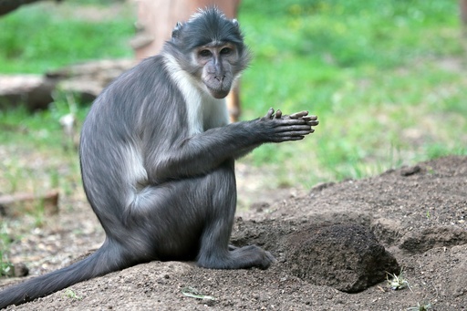1.5 days Tsavo East Midweek Open voucher Safaris from Malindi/Watamu Hotels - Single Room Supplement (SRS)
