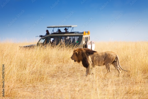 1.5 days Tsavo East Midweek Open voucher Safaris from Diani/Tiwi Beach Hotels - Voi Safari Lodge/Sentrim Tsavo Camp - Child
