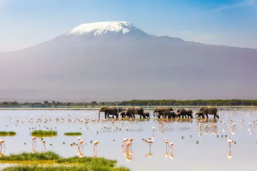 2½ Days “Kilimanjaro Safari” Itinerary