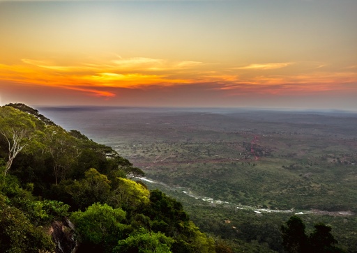 2-Day Mombasa Tour & Shimba Hills Safari